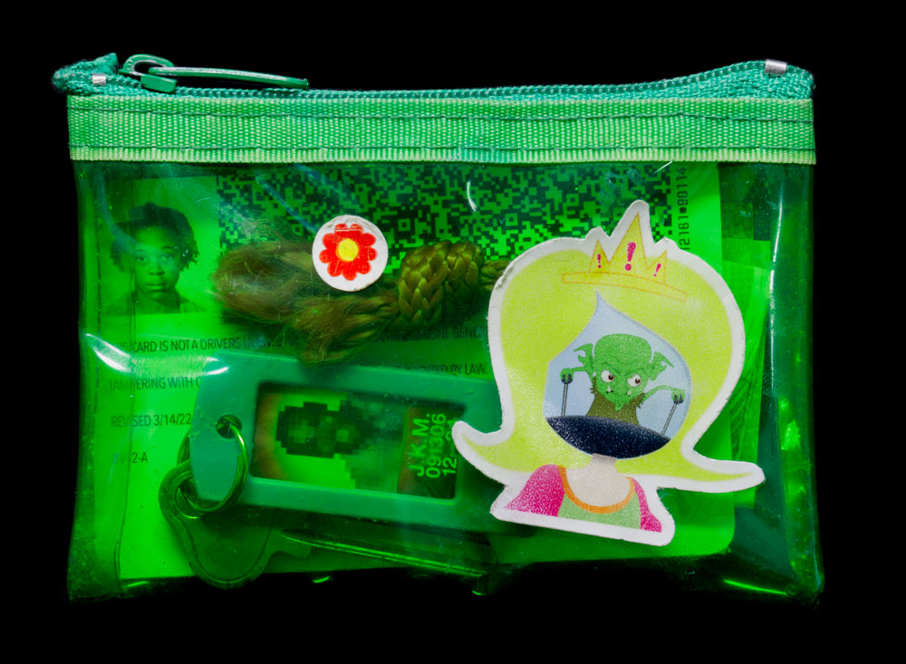 ark purse